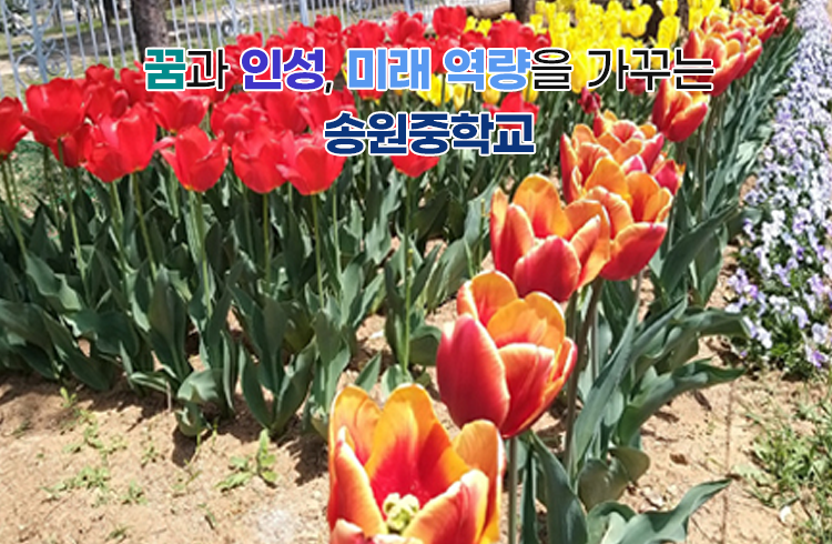 꿈과 인성, 미래 역량을 가꾸는 송원중학교